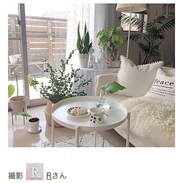 Rさんの実例写真
