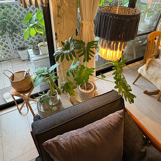 momo_sanさんの部屋