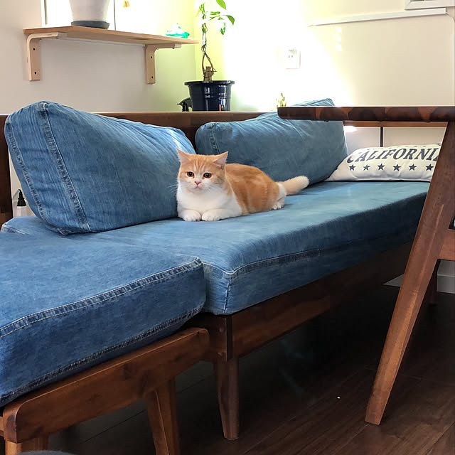 taMAさんの実例写真