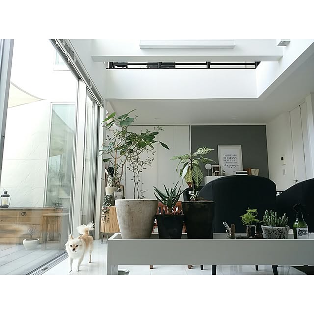 mi-さんの実例写真