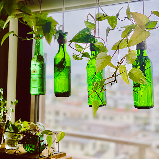 gurigura.tさんの実例写真