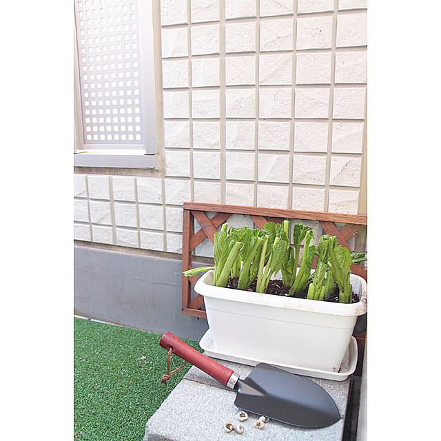 玄関/入り口/プチ家庭菜園/ベランダ/家庭菜園/双子部屋...などのインテリア実例 - 2019-01-05 13:36:52