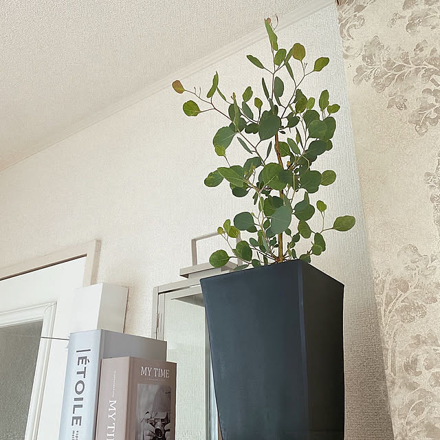 mii_home_39さんの実例写真