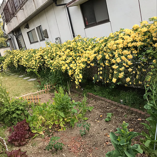 daikichiさんの実例写真