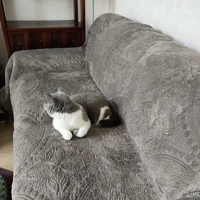 KEIKOさんの実例写真