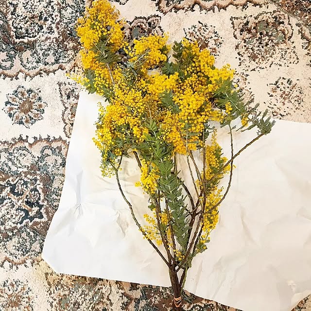 YUKKIさんの部屋