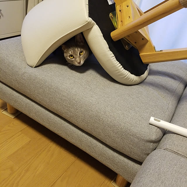 yukiさんの実例写真