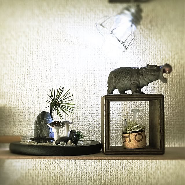 ramuchop3000さんの実例写真