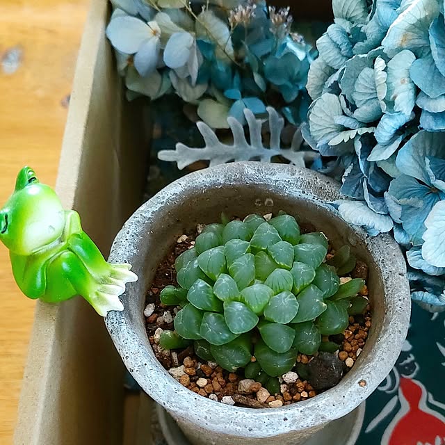 teamoさんの部屋