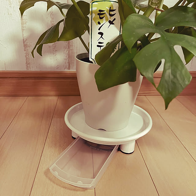 sanaさんの実例写真