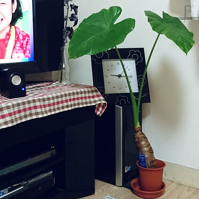 yukieさんの実例写真