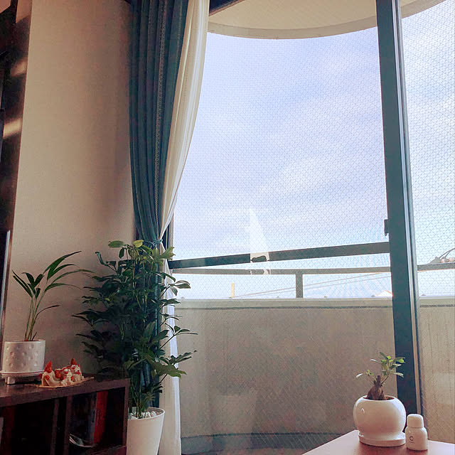 chirorinさんの実例写真