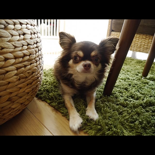 emibeiさんの実例写真