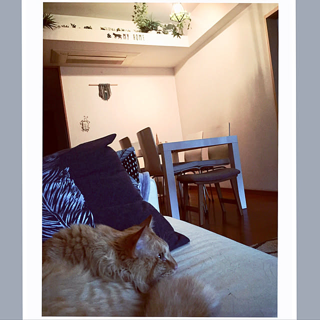 Ryokoさんの実例写真