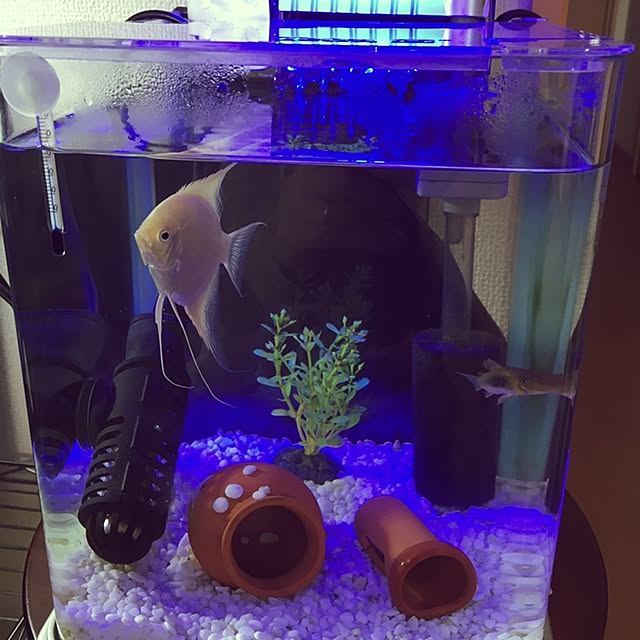 nagomiさんの実例写真