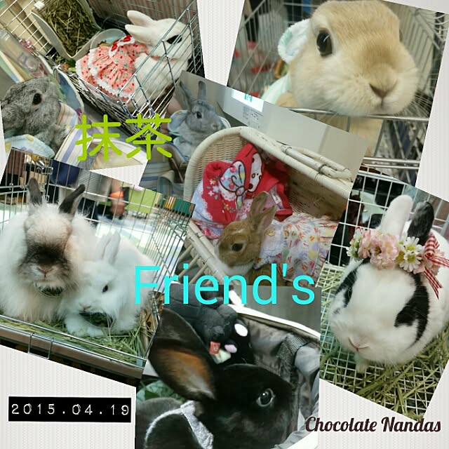 ChocolateNandasさんの実例写真