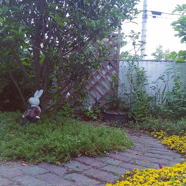 kikusukeさんの実例写真