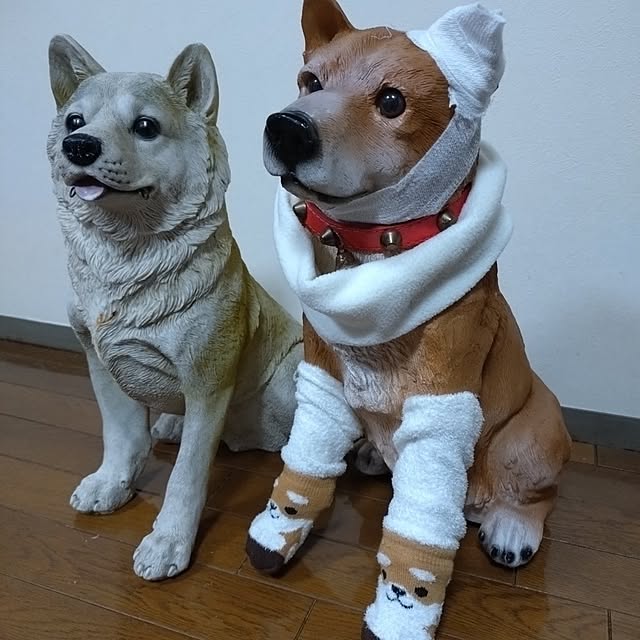 NOAHさんの部屋