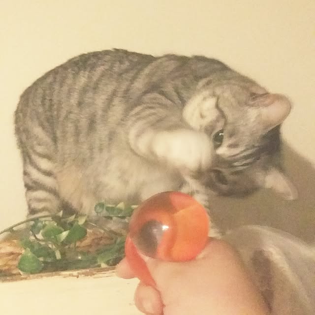 annさんの実例写真