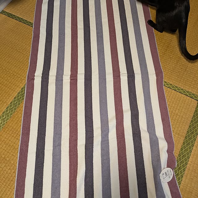 asaさんの実例写真
