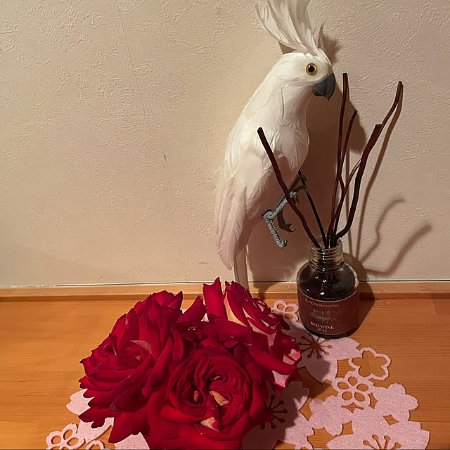kakoさんの実例写真