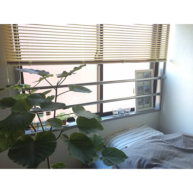 yknさんの実例写真