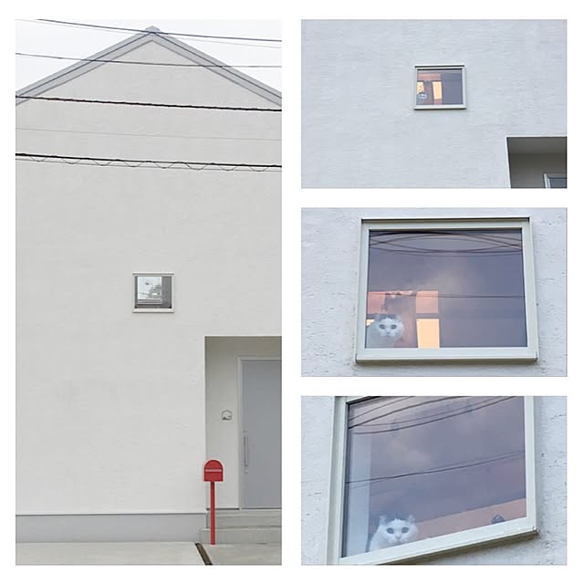 necodakakarichoさんの実例写真