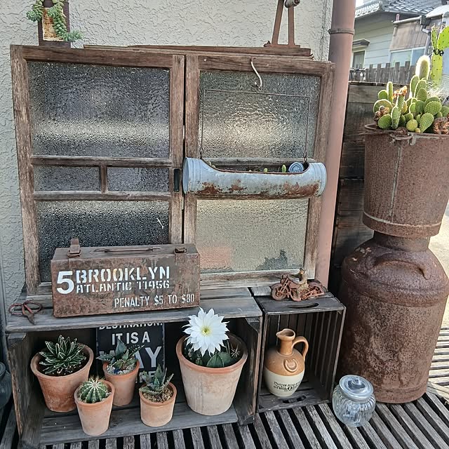 hononoさんの部屋