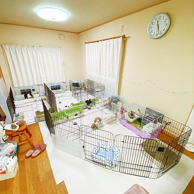prelumoさんの実例写真