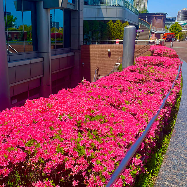 tututu0204さんの部屋