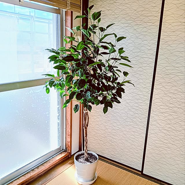 hanachanさんの実例写真