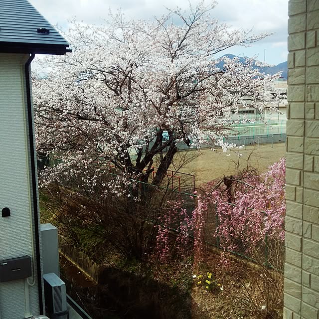 icchiさんの実例写真