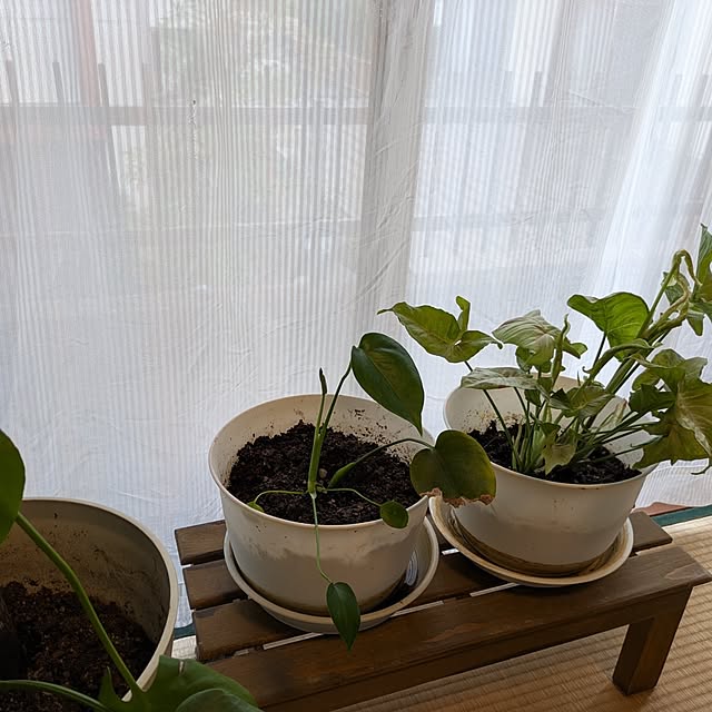 asaさんの部屋