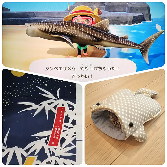 MMYSさんの実例写真