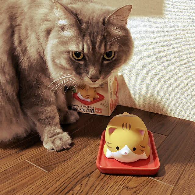 naworinさんの実例写真