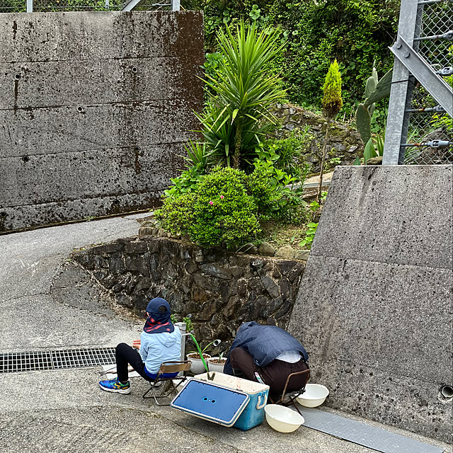 koshiregutyoさんの実例写真