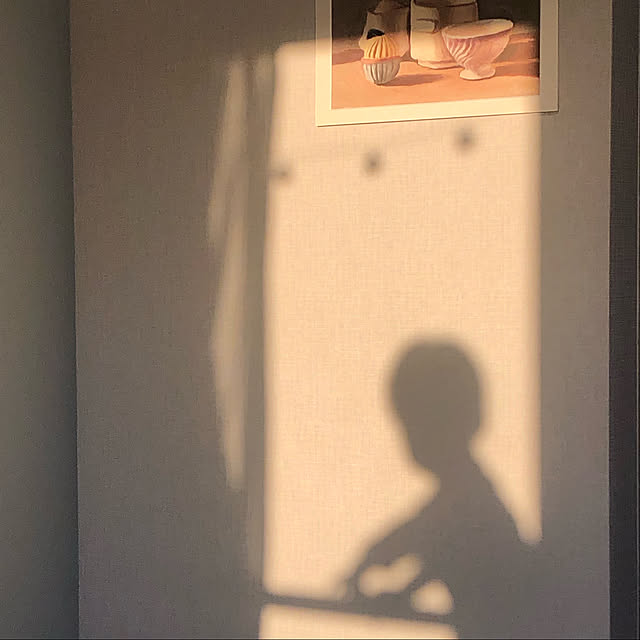 reiさんの実例写真