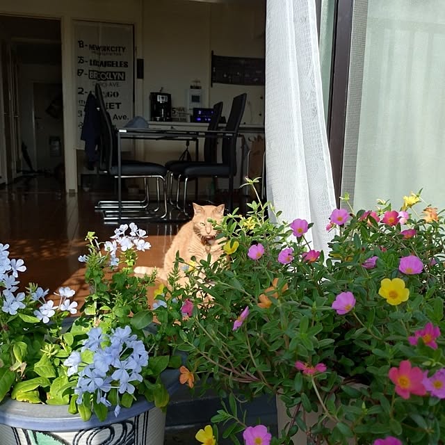 NOAHさんの部屋