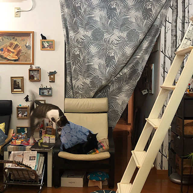 jijiさんの実例写真