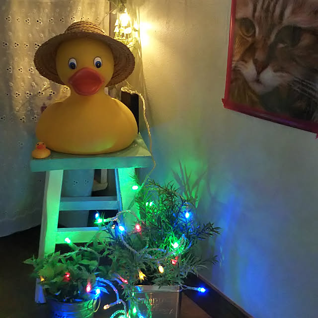 hirokoさんの実例写真