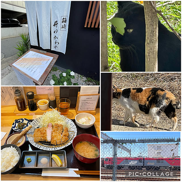 aureaさんの実例写真