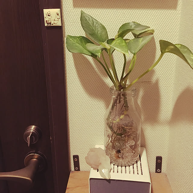 バス/トイレのインテリア実例 - 2019-01-08 10:54:44