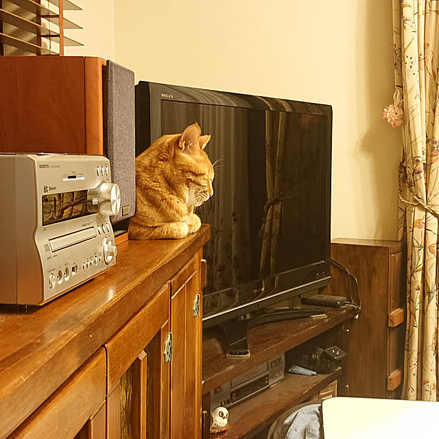 okyosan101さんの実例写真