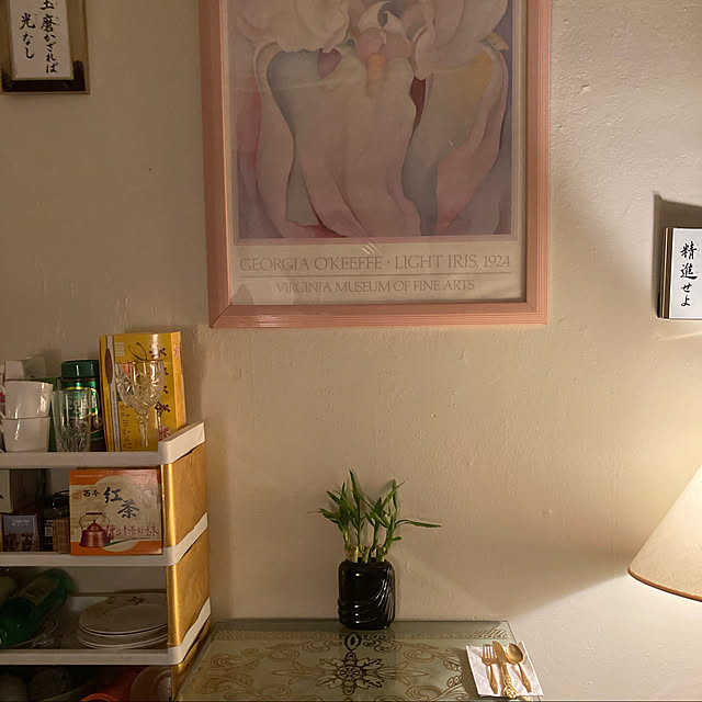 Kamiyamaさんの実例写真