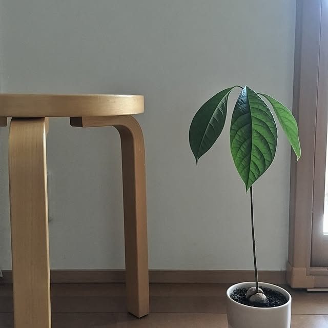 sakiさんの実例写真