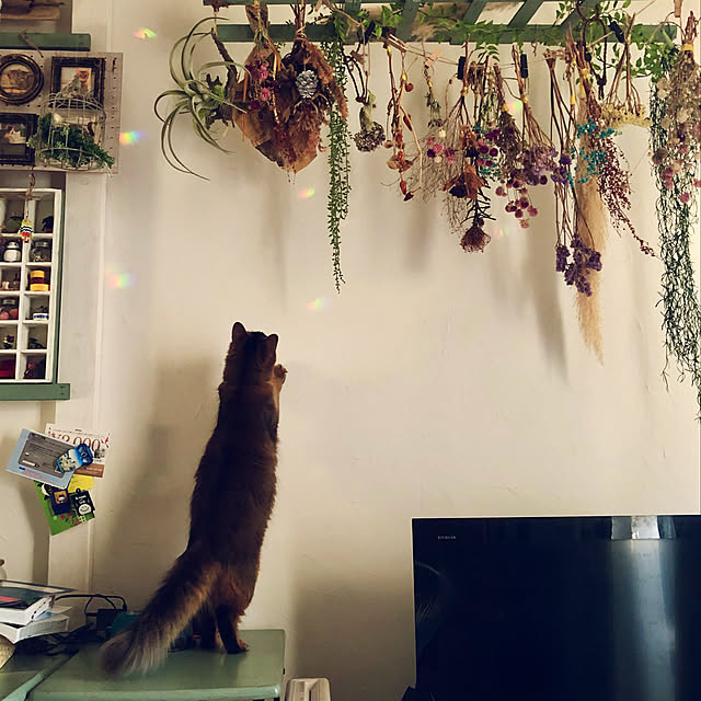 paradise_viewさんの実例写真