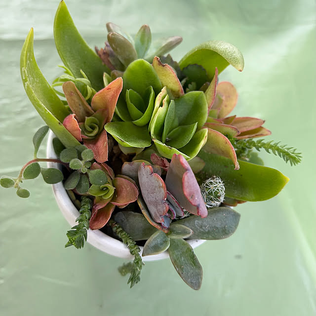 ayayayayaさんの部屋