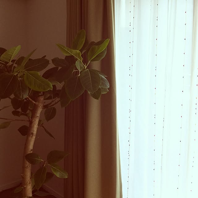 acoさんの実例写真