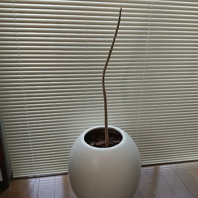 Rさんの部屋