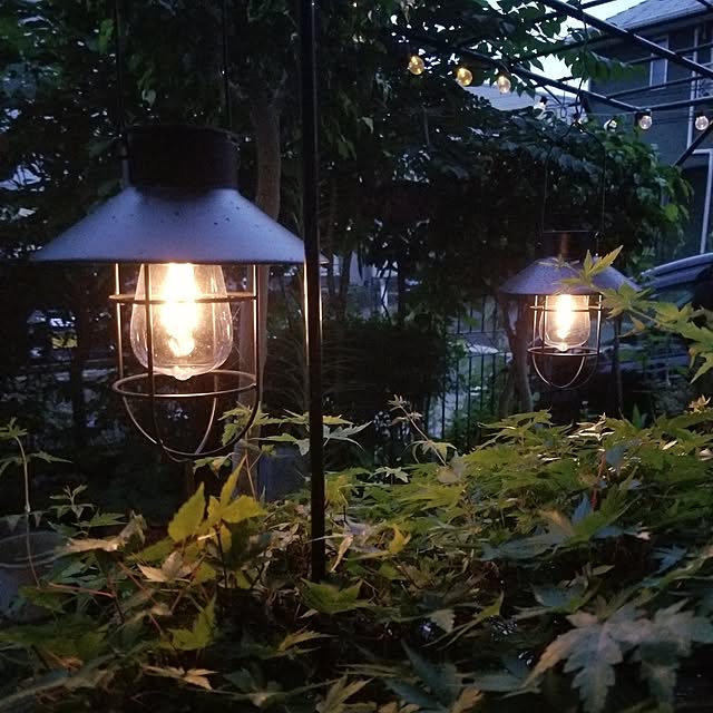 midoriさんの実例写真